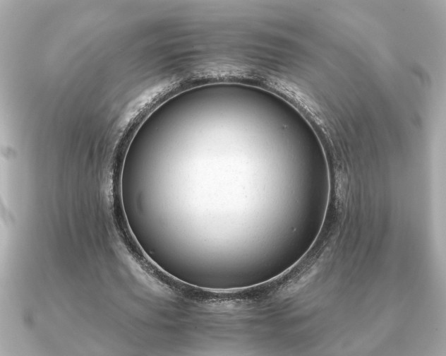 X0000091100629200708131107