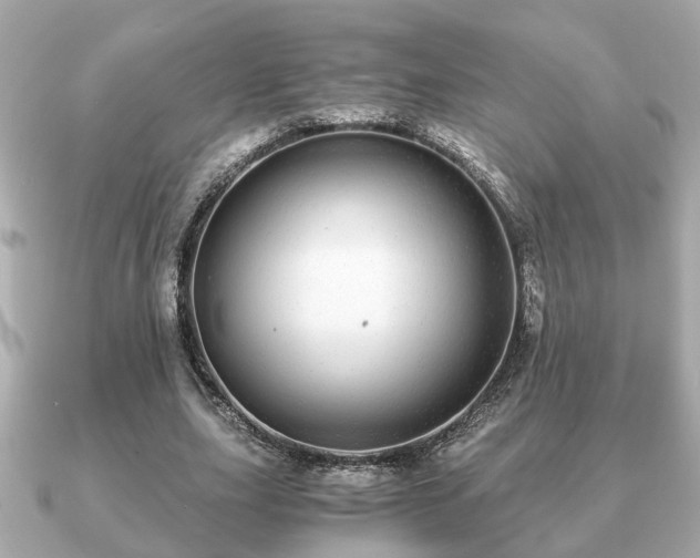 X0000091100631200708131107