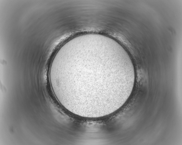 X0000091100632200708131107