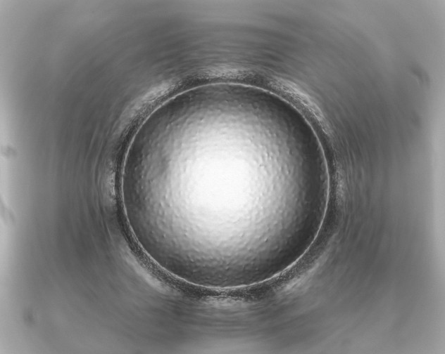 X0000091100633200708131107