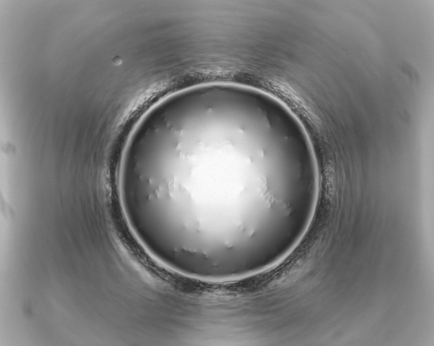 X0000091100634200708131107