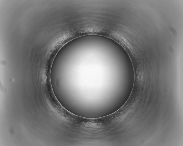 X0000091100635200708131107