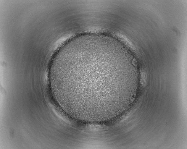 X0000091100636200708131107