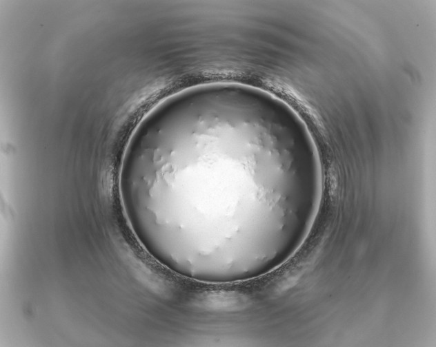 X0000091100637200708131107