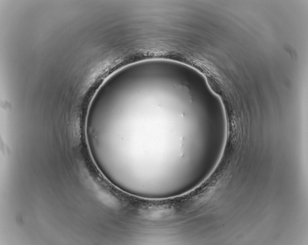 X0000091100638200708131107