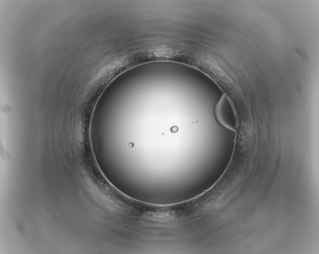 X0000091100639200708131107