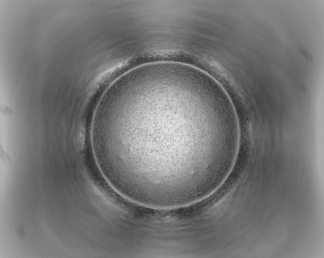 X0000091100640200708131107