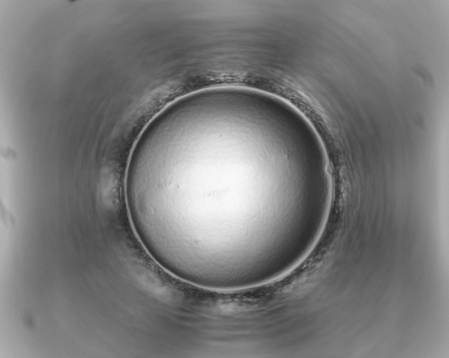 X0000091100641200708131107