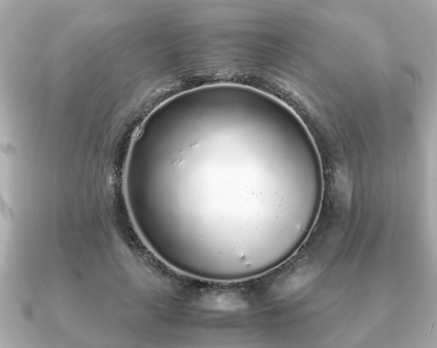 X0000091100643200708131107