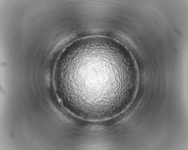 X0000091100644200708131107