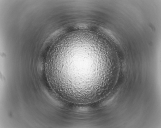 X0000091100645200708131107