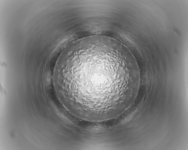 X0000091100646200708131107