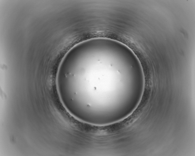 X0000091100647200708131107