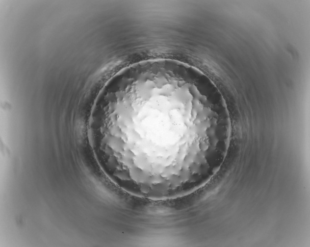 X0000091100648200708131107