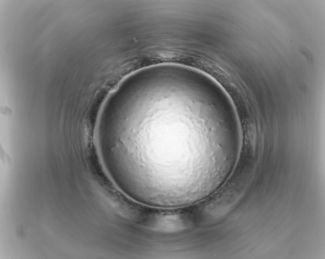 X0000091100651200708131107