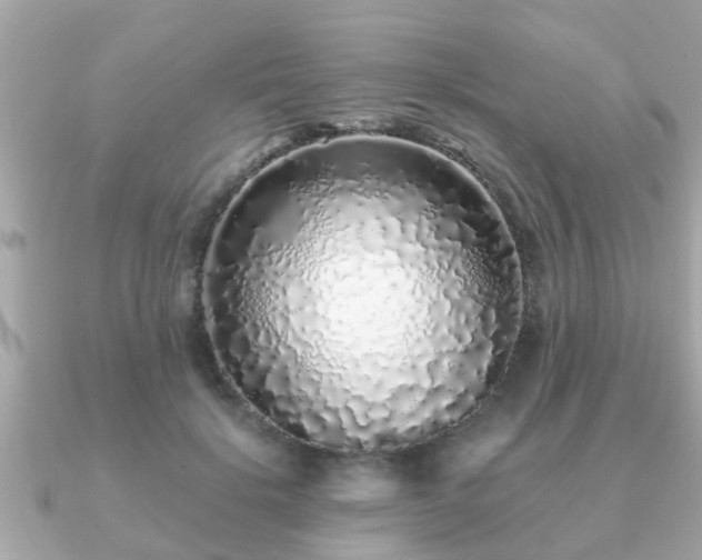 X0000091100652200708131107