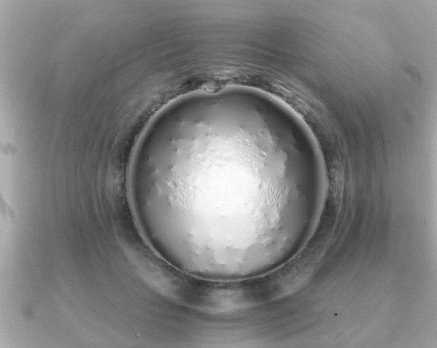 X0000091100653200708131107