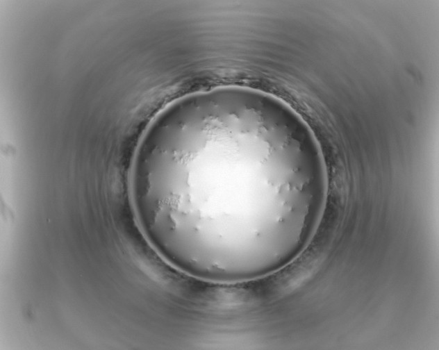 X0000091100654200708131107