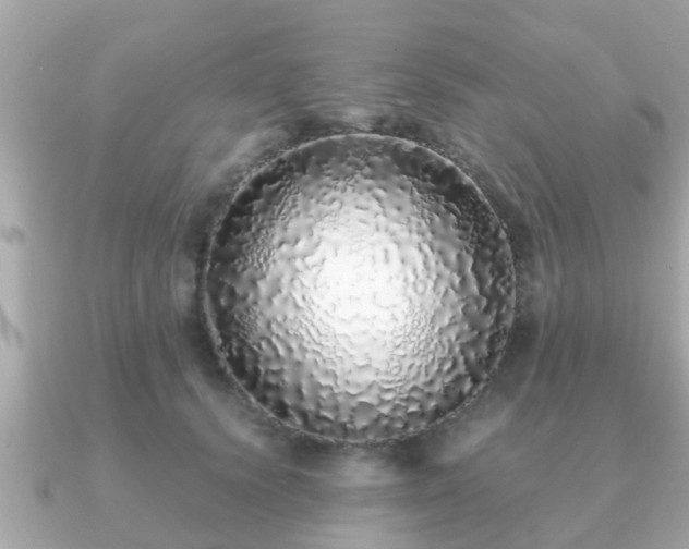 X0000091100656200708131107