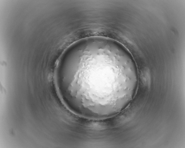 X0000091100657200708131107