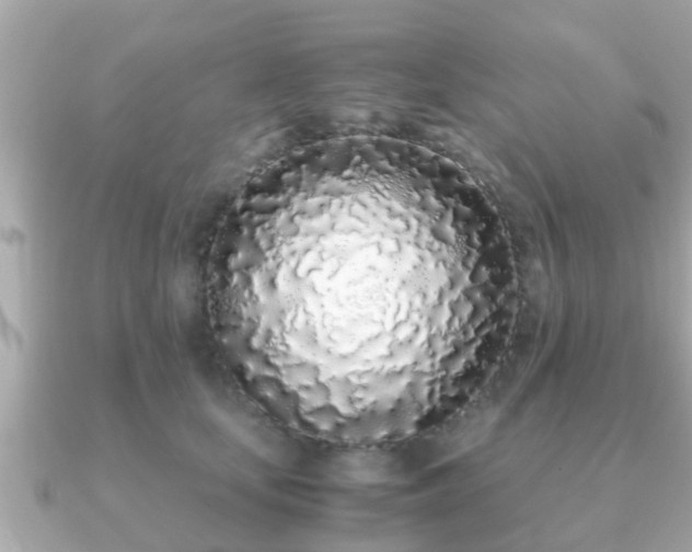 X0000091100659200708131107