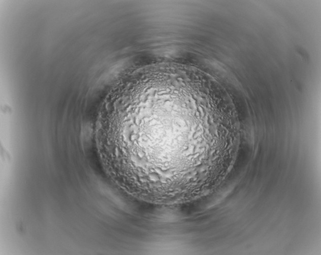 X0000091100660200708131107