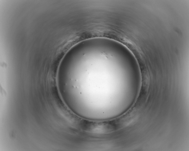 X0000091100661200708131107