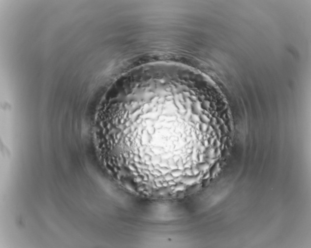 X0000091100662200708131107