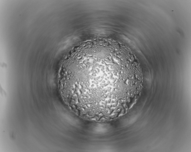 X0000091100663200708131107