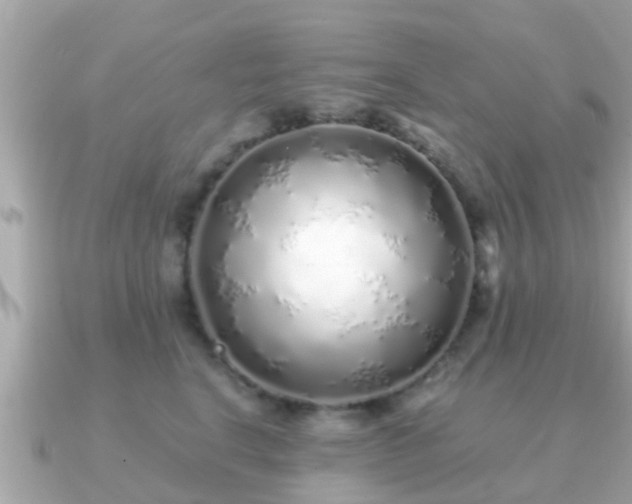 X0000091100664200708131107