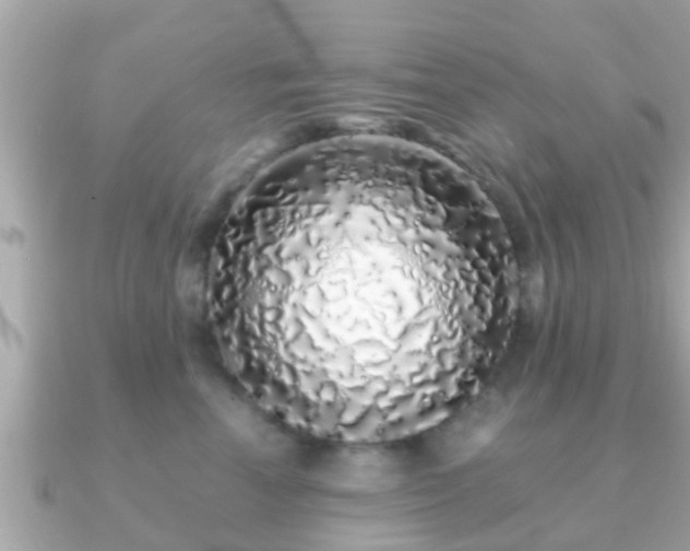 X0000091100666200708131107