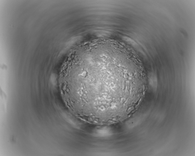 X0000091100667200708131107