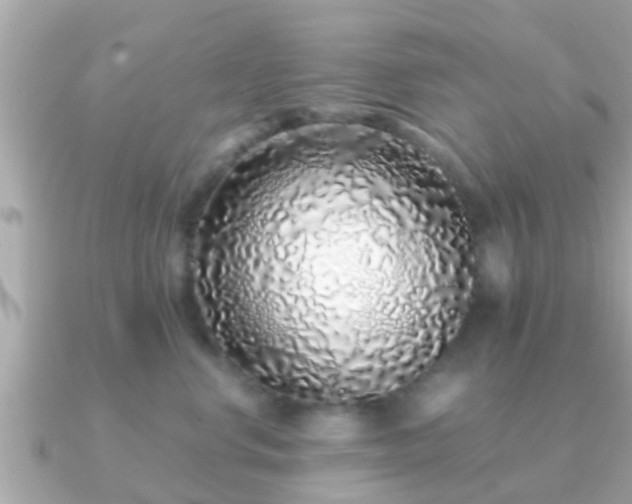 X0000091100668200708131107