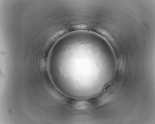 X0000091100669200708131107