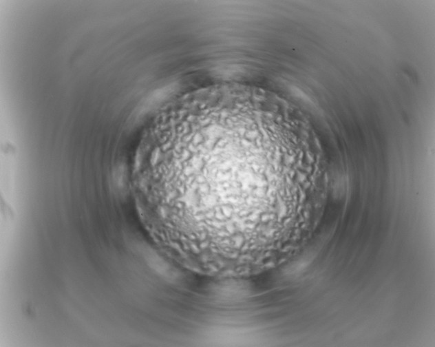 X0000091100670200708131107