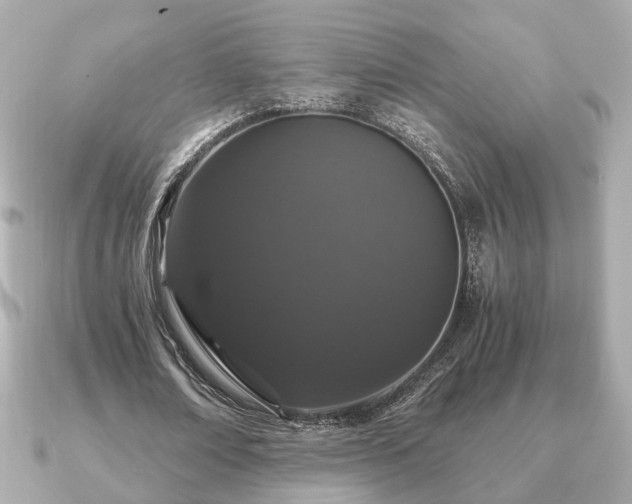 X0000091100674200708131107