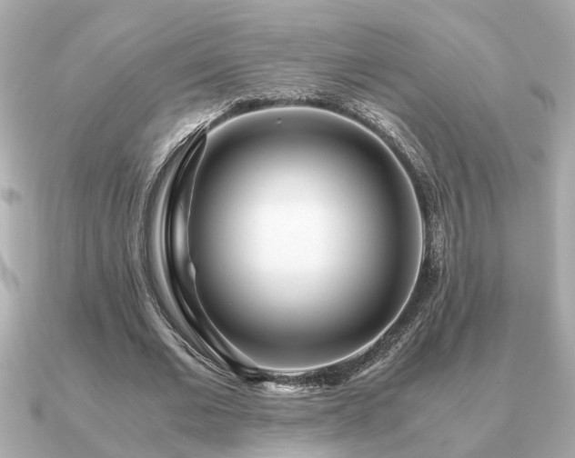 X0000091100677200708131107