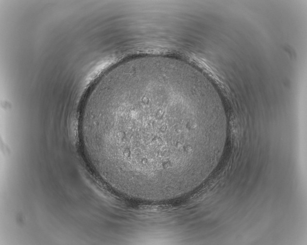 X0000091100679200708131107