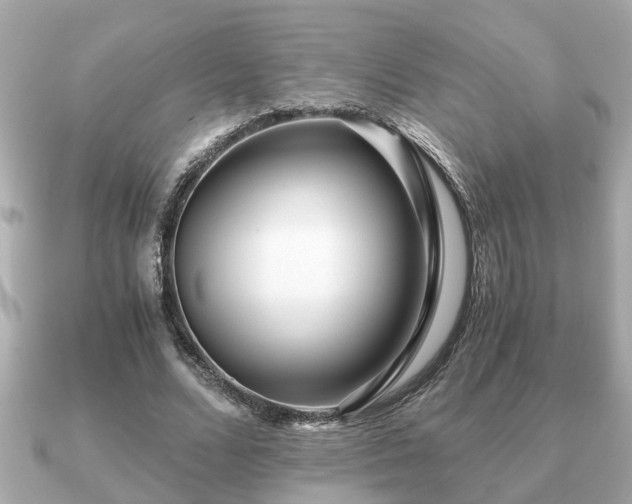 X0000091100680200708131107