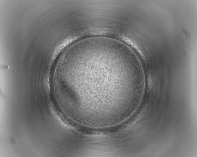 X0000091100682200708131107