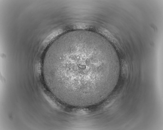 X0000091100683200708131107