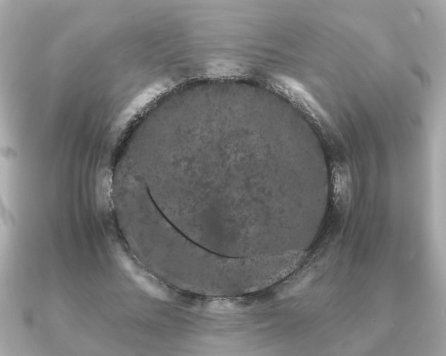 X0000091100684200708131107