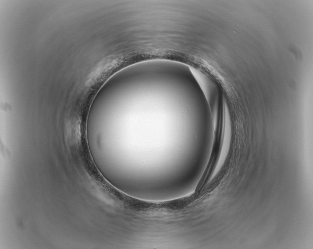 X0000091100685200708131107