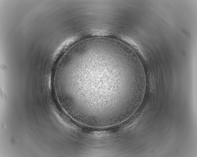 X0000091100686200708131106