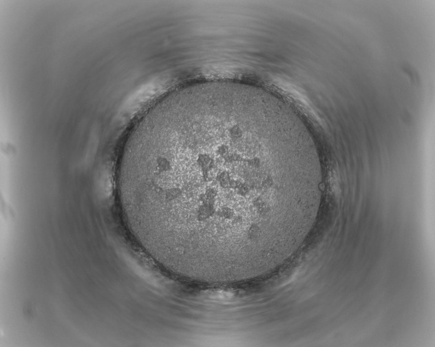 X0000091100687200708131106