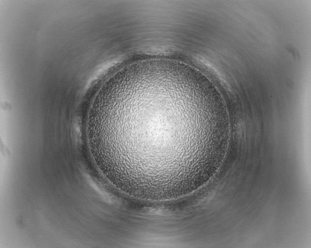 X0000091100688200708131106