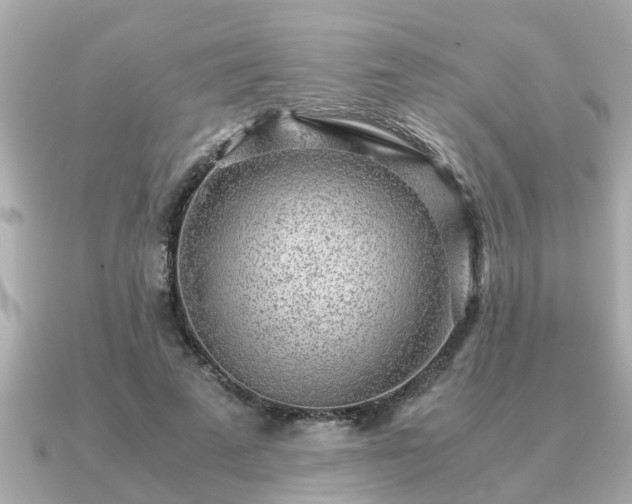 X0000091100689200708131106