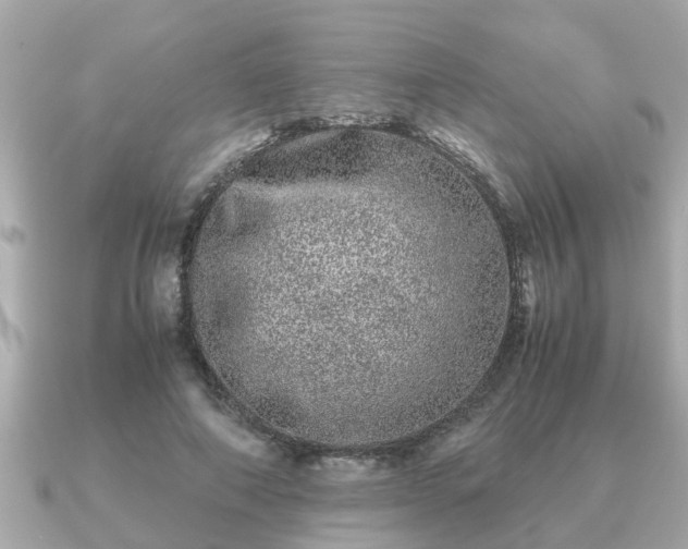 X0000091100690200708131106