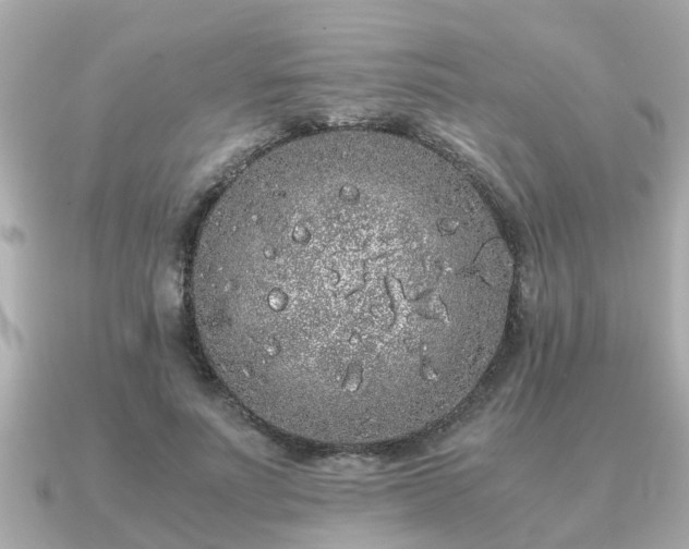 X0000091100691200708131106