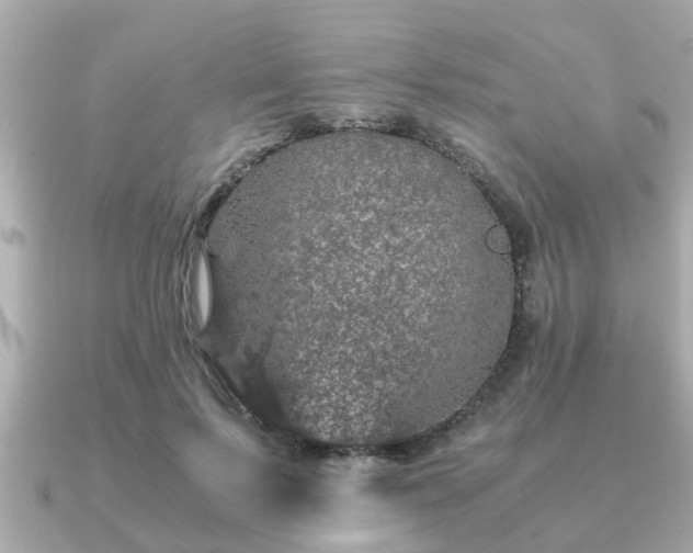 X0000091100695200708131106